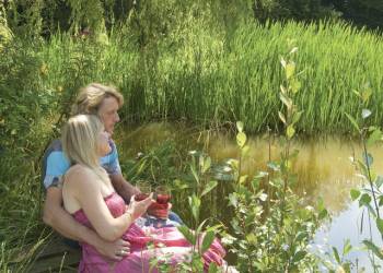 New Forest Lodges