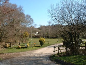 Hedley Wood Caravan and Camping Park