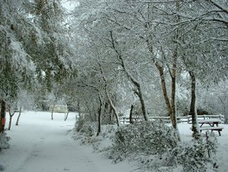 Hedley Wood Caravan and Camping Park
