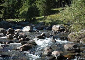 Glen Clova Lodges