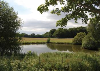 Woodlands Park