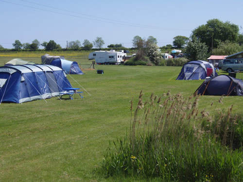 Field Farm Fisheries