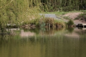 Cofton Country Holidays