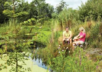 Meadows End Lodges