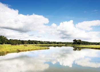 Witton Castle Country Park