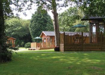 Hilton Woods Lodges in Cornwall - England - Pet Friendly Holidays