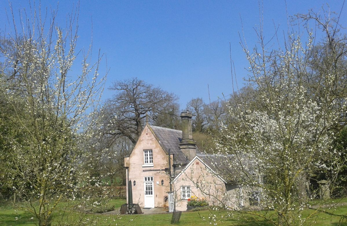 Click here for more about Stone Lodge