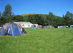 Cove Caravan and Camping Park