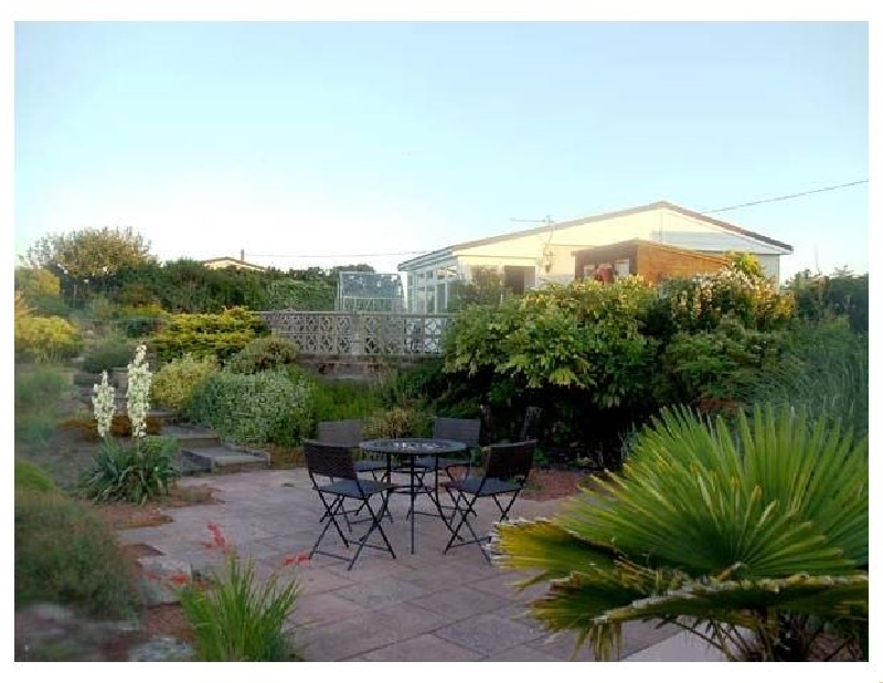 Click here for more about Oyster Catcher