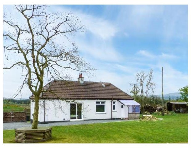Click here for more about Gamepark Wood