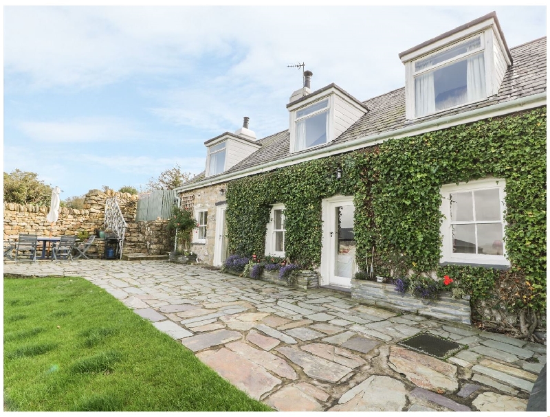 Click here for more about Bronwydd