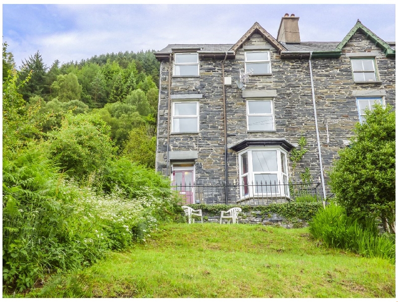 Click here for more about 1 Isygraig