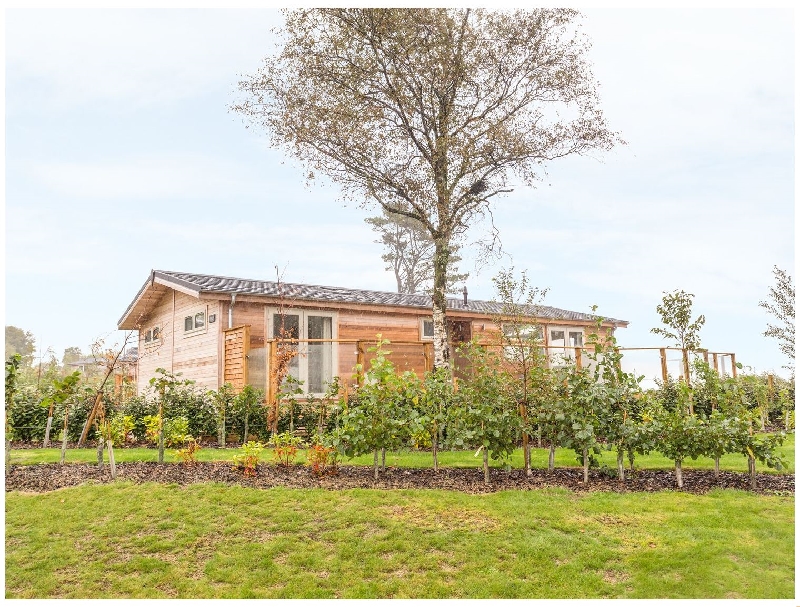 Click here for more about 15 Faraway Fields