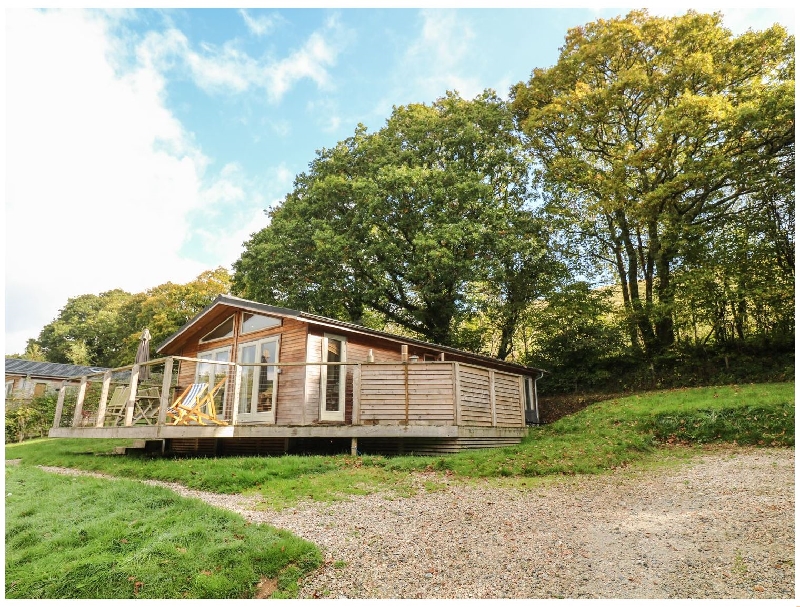 Click here for more about 7 Hedgerows