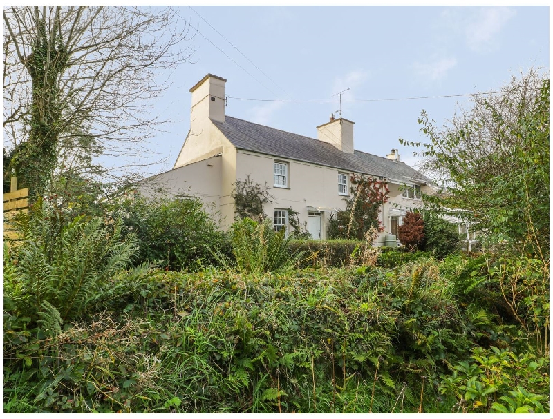 Click here for more about Ynys Pandy