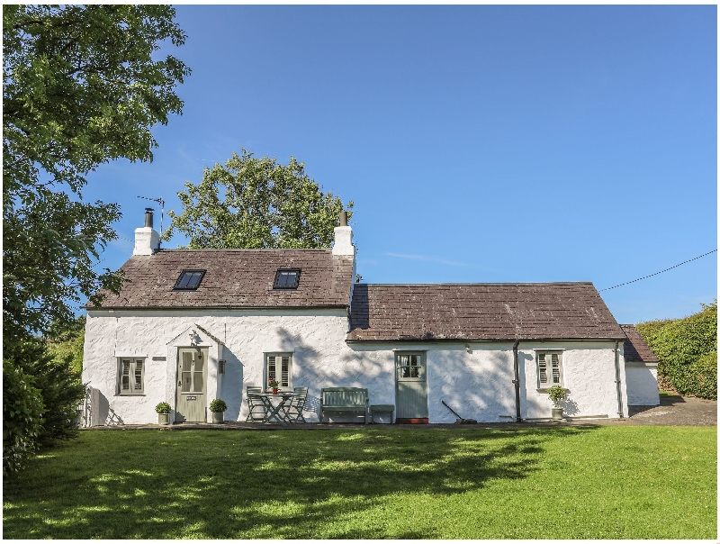 Click here for more about Erw Ddu - Tyn y Gongl