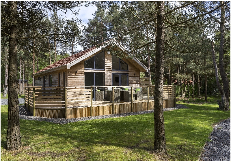 Click here for more about Brown Rigg Howe