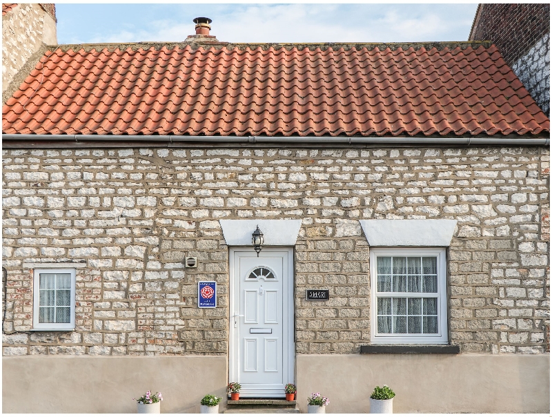 Click here for more about Amari