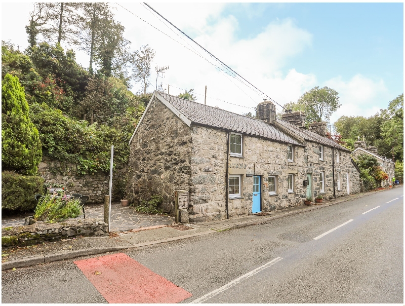 Click here for more about Nyth Bran