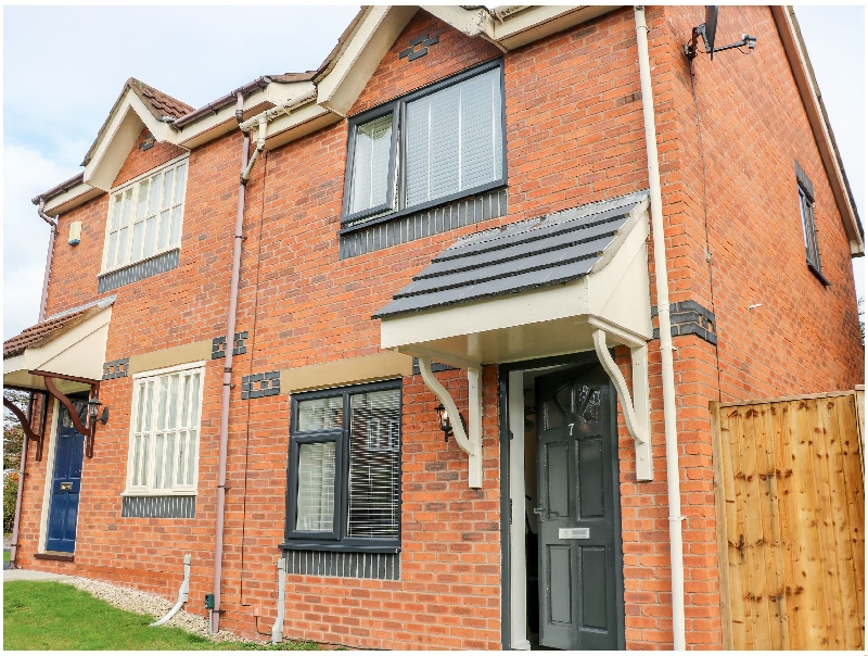 Click here for more about The Conifers