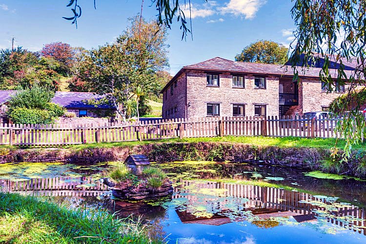 Click here for more about Bluebell